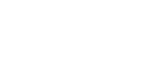 4040 House Logo